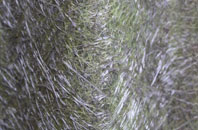 Nunsthorpe fibreglass roof work